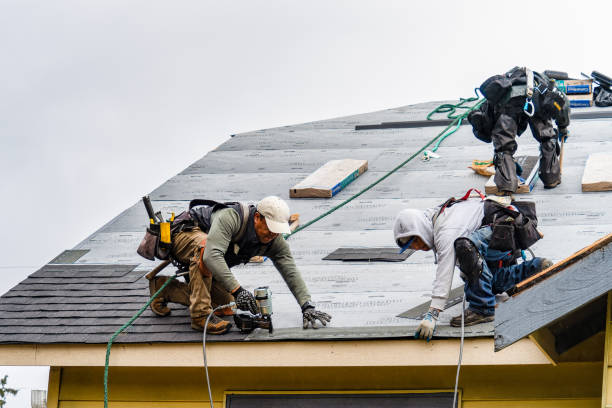 Professional Gutter Installation technician working in Lochloosa, FL